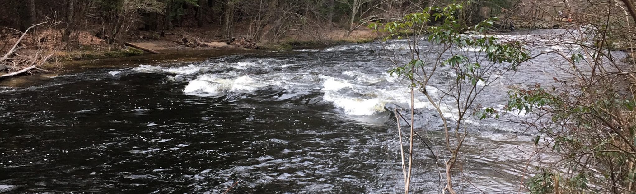 Crosswinds Conservation Area 149 Reviews, Map Massachusetts AllTrails