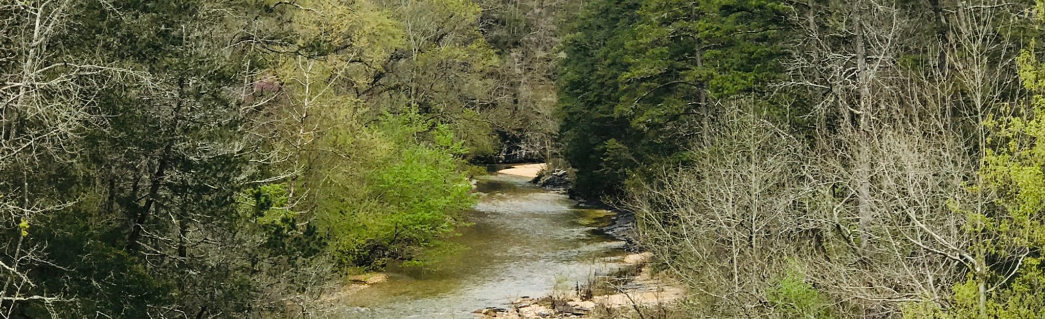 Gunner Pool via Sylamore Creek, Arkansas 106 Reviews, Map AllTrails