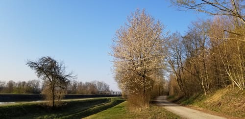 Buch am Erlbach und Pfrombach Rundweg