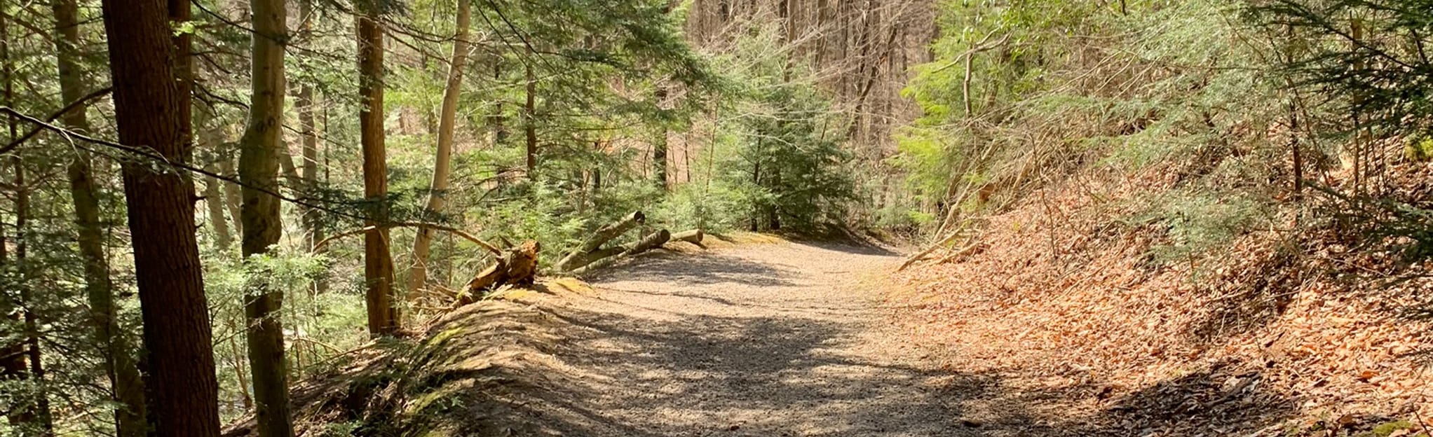 Jackson Falls and Rock Furnace Trail, Pennsylvania 339 Reviews, Map