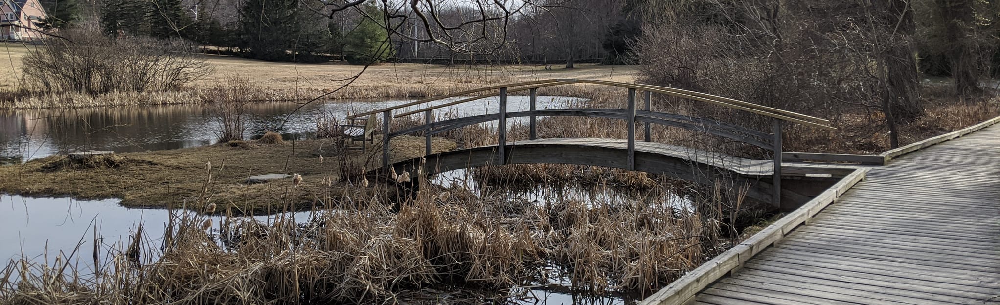 Doyle Community Park, 141 Photos Massachusetts AllTrails