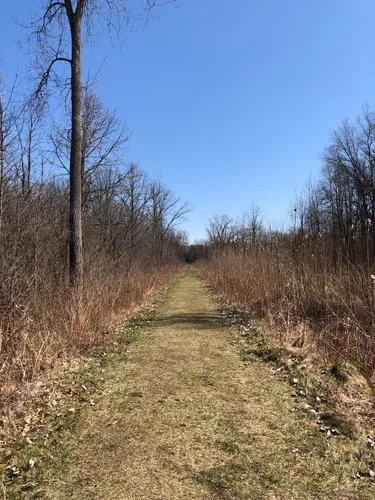 stony creek metropark mountain bike trails