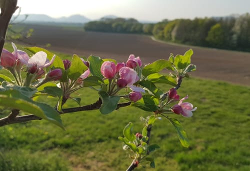 Rund um den Ebenberg
