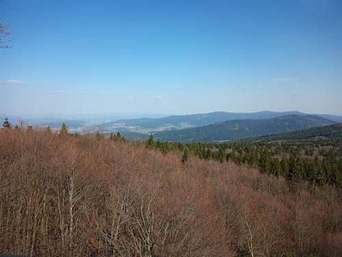 Von Rettenbach zum Mühlgraben
