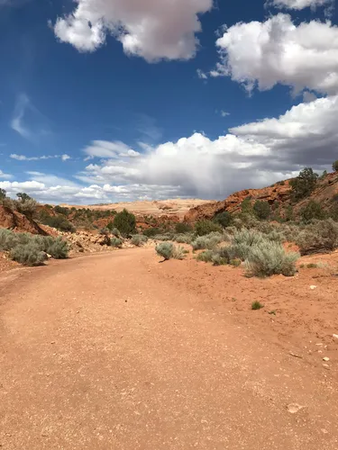 Big water trail store