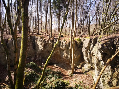 Gipskarstlandschaft Hainholz: Jettenhöhle und Marthahöhle