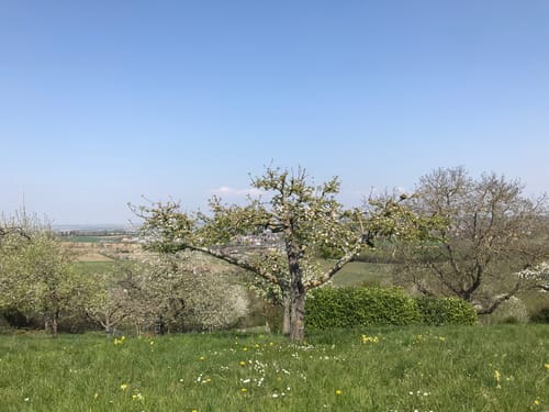 Zum Aussichtspunkt Horn