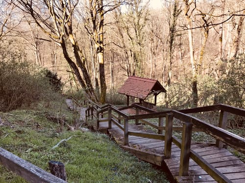 Planetal: Bergmolchwanderweg