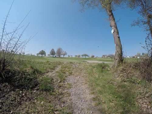 Marxzell  - Holzbachtal