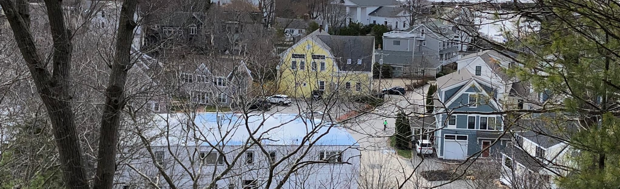 Powder House Hill Trail 86 Reviews, Map Massachusetts AllTrails