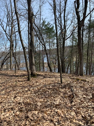 Best Hikes and Trails in Standing Rock Park | AllTrails