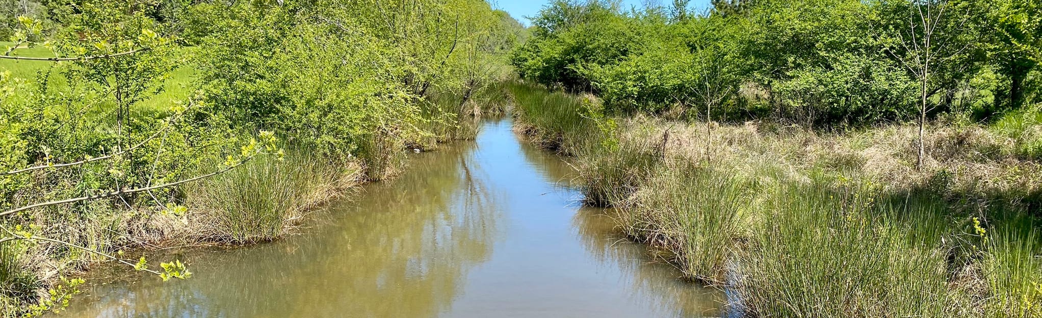 Resaca Battlefield Red, White and Blue Trail Loop 174 Reviews, Map