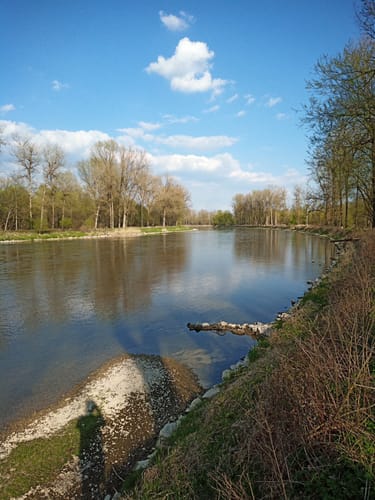 Von Plattling durch die Isarmündung