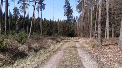 Mühlenholz Runde