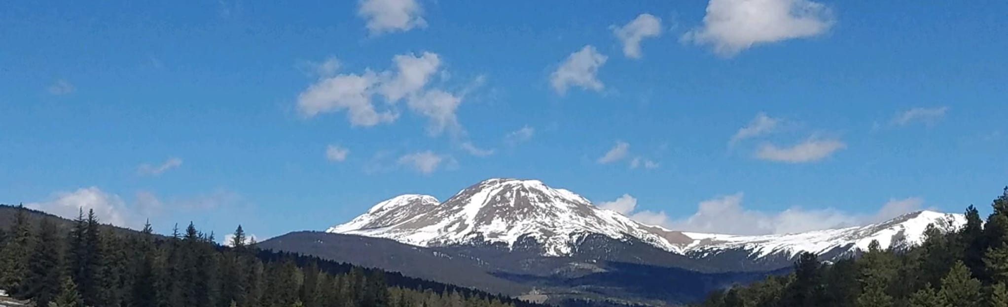 Trout Creek Road 3 Reviews, Map Colorado AllTrails