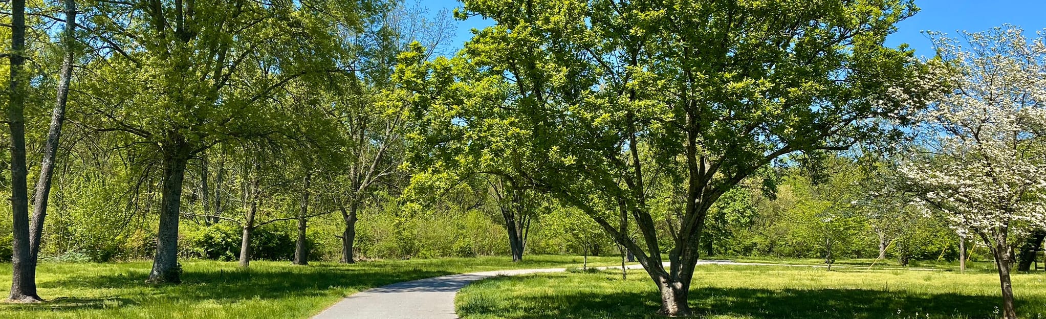 Mill Creek Greenway, Tennessee 41 Reviews, Map AllTrails