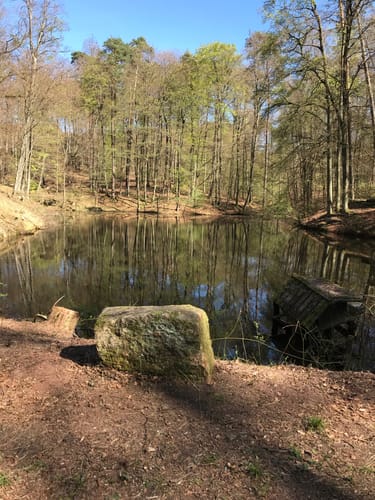 Spessartspur "Niederrodenbacher Barbarossaquelle und Klosterruine"