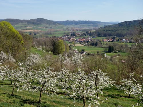 Leyerbergweg Marloffstein nach Igensdorf