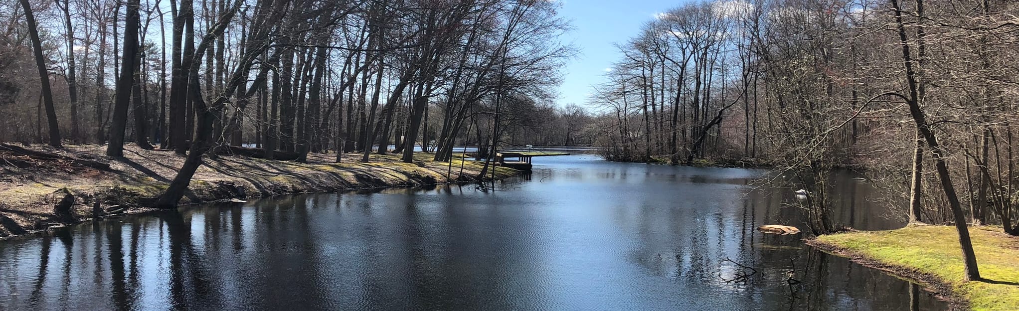 Caleb Smith Boy Scout Nature Trail 39 Reviews, Map New York AllTrails