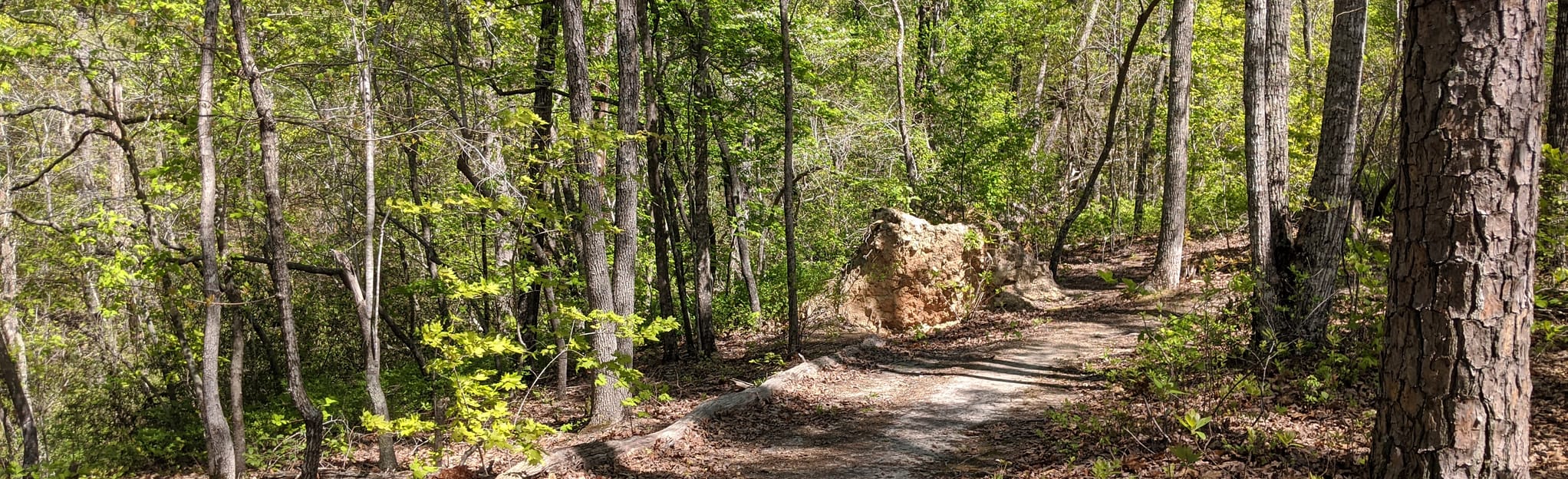 Uwharrie, Keyauwee, and Dutchman’s Creek Loops 64 Reviews, Map North