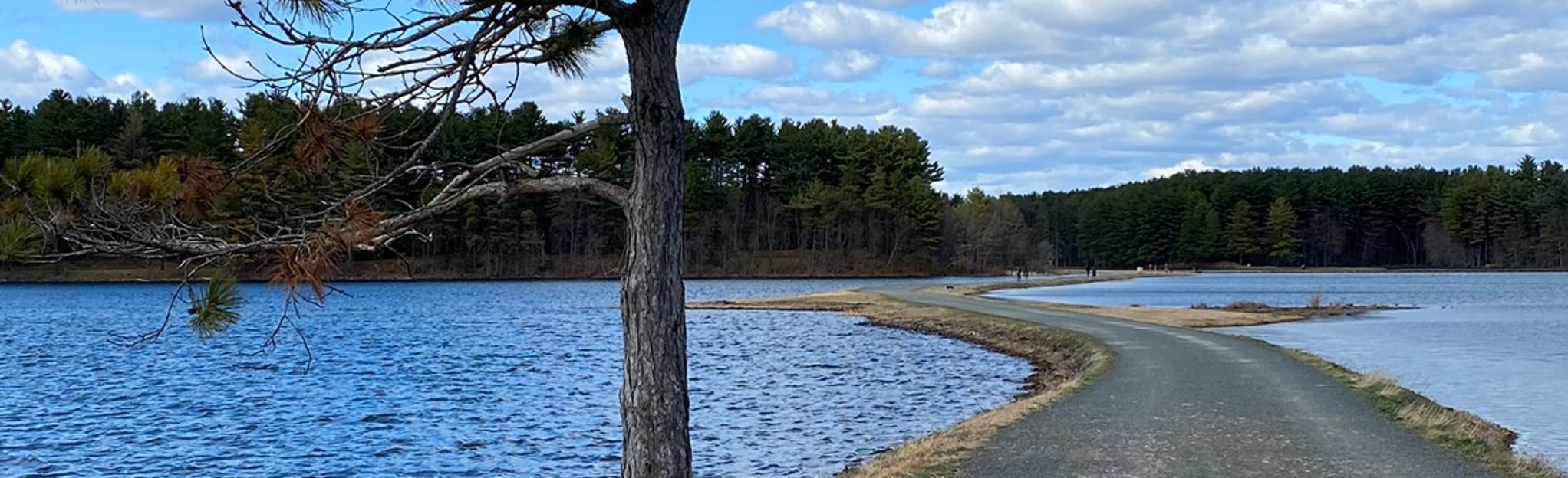 Ashley Reservoir Trail 1361 Reviews, Map Massachusetts AllTrails