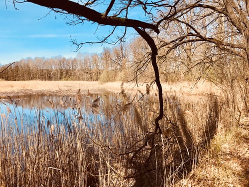 Wanderweg Tornitz - Muckwar - Luckaitz