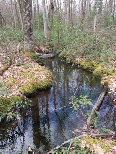 10 Best Trail Running Trails in Bald Eagle State Forest | AllTrails