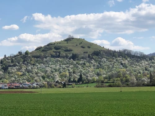 Albsteig (HW1) Etappe 8: Boßler - Burg Teck