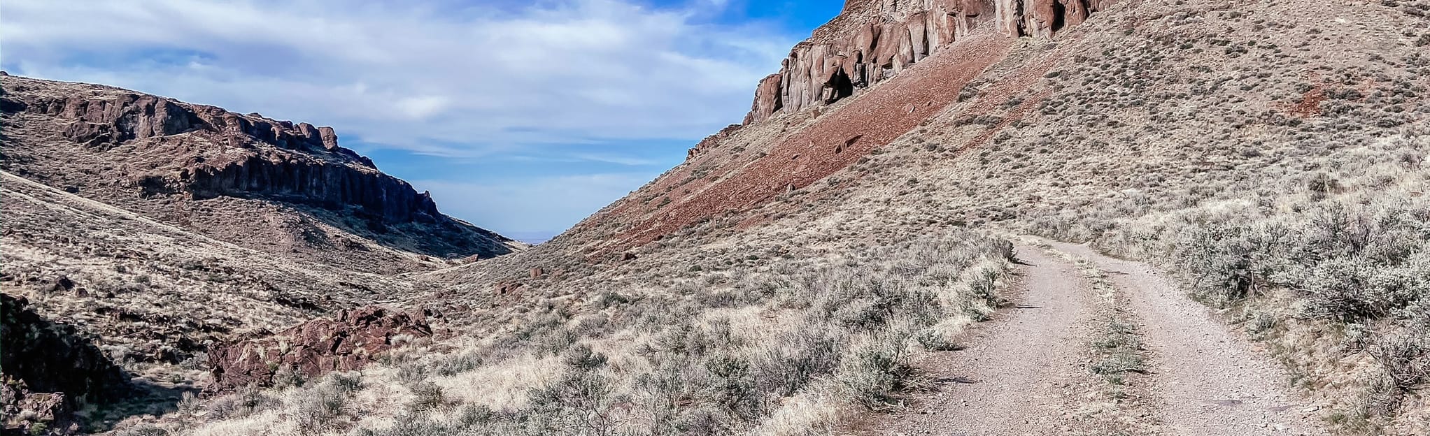 Tigert Springs, Collier Place and Little Jacks Creek OHV Trail, Idaho