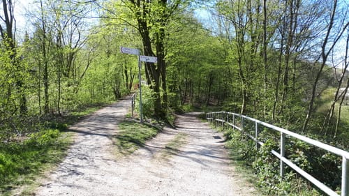 Rund um Solingen-Wald