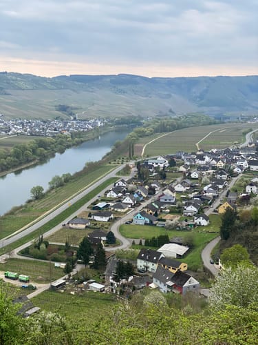 Moselblick Ensch