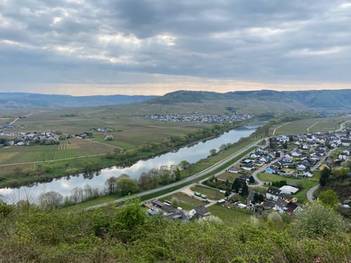 Moselblick Ensch