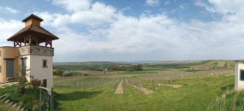 Stadecken-Elsheim - Jugenheim - Bubenheim
