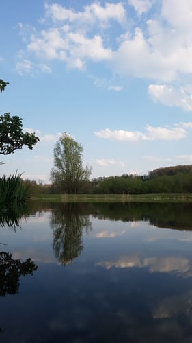 Vom Haus Villigst entlang der Ruhr
