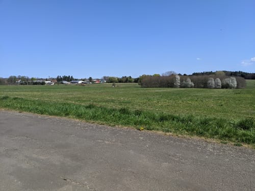 Runde bei Kübelberg