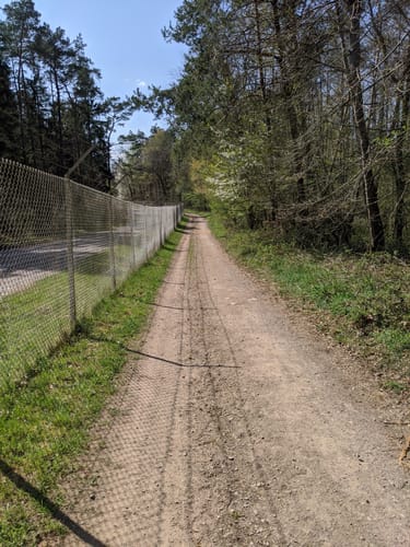 Runde bei Kübelberg