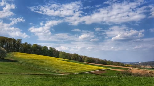 Zum Rosselborn