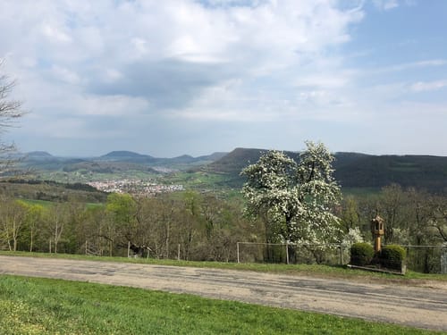 Löwenpfad Weitblick-Tour