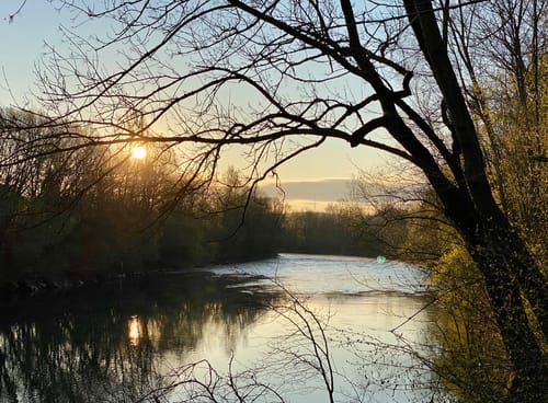 Am wilden Neckar