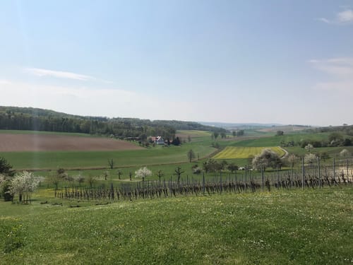 Um den Vogelberg