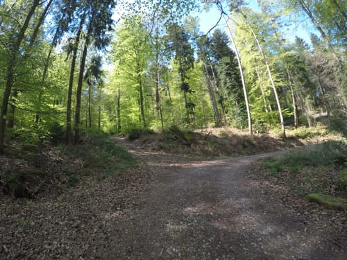Eichelberg Rundweg