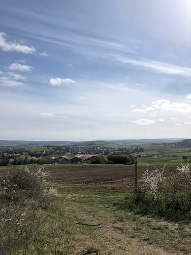 WiesenTour Maar (Premiumwanderweg)