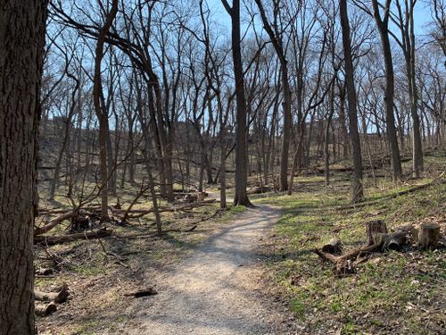 are dogs allowed at fontenelle forest