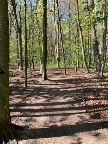 Um Langenbochum