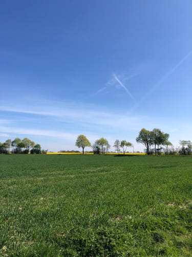Wabe 58 NSG Liesner Wald