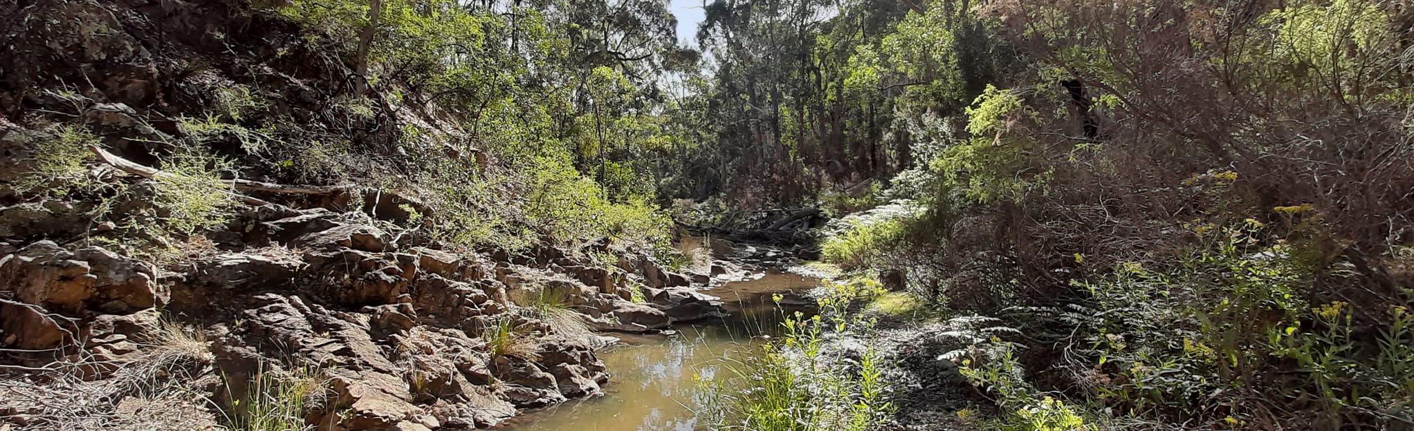 Antimony Mine Track and Pyrites Creek, Victoria, Australia 42 Reviews