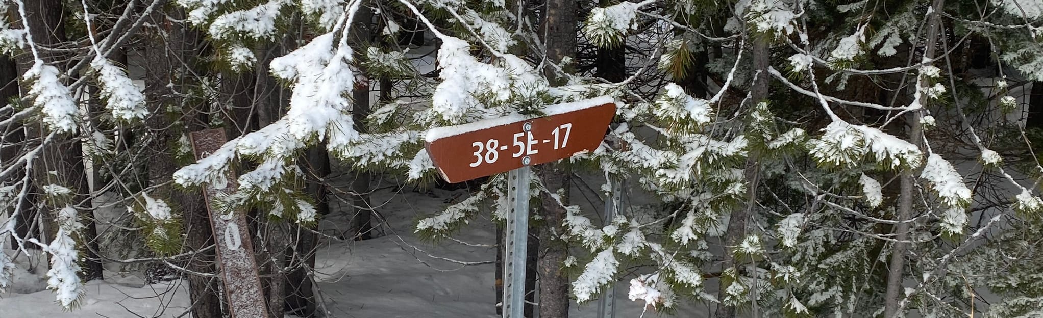 Pacific Crest Trail Loop from Dead Indian Memorial Road, Oregon 21
