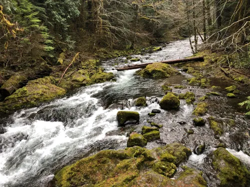 10 Best Hot Springs Trails in Oregon | AllTrails