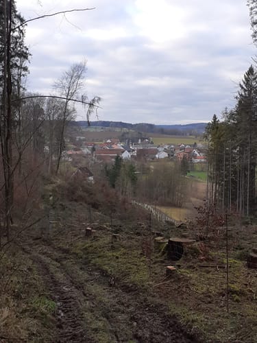 Rund um den Hofberg