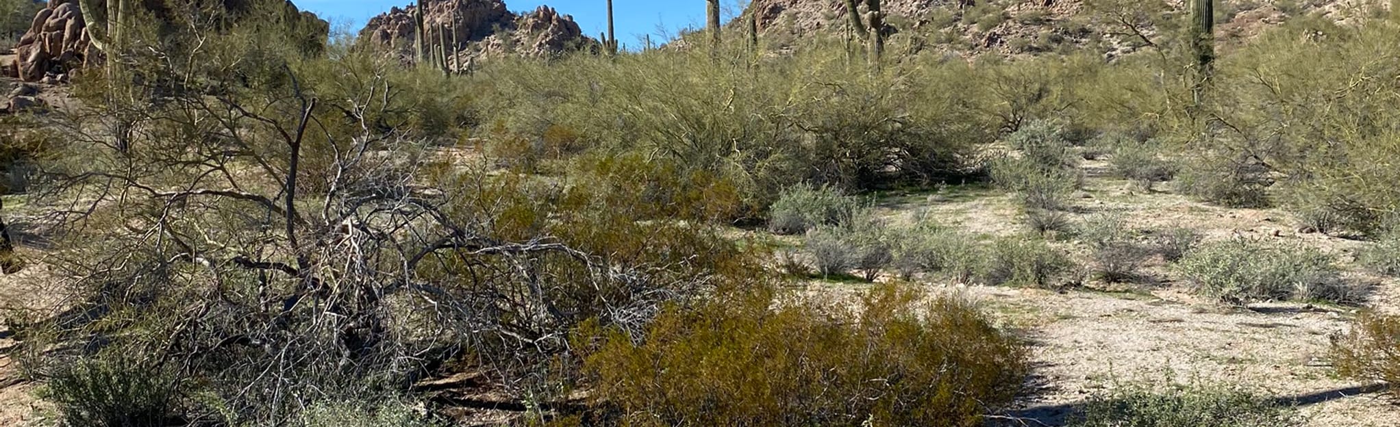 Stanfield and Maricopa Trail, Arizona 115 Reviews, Map AllTrails